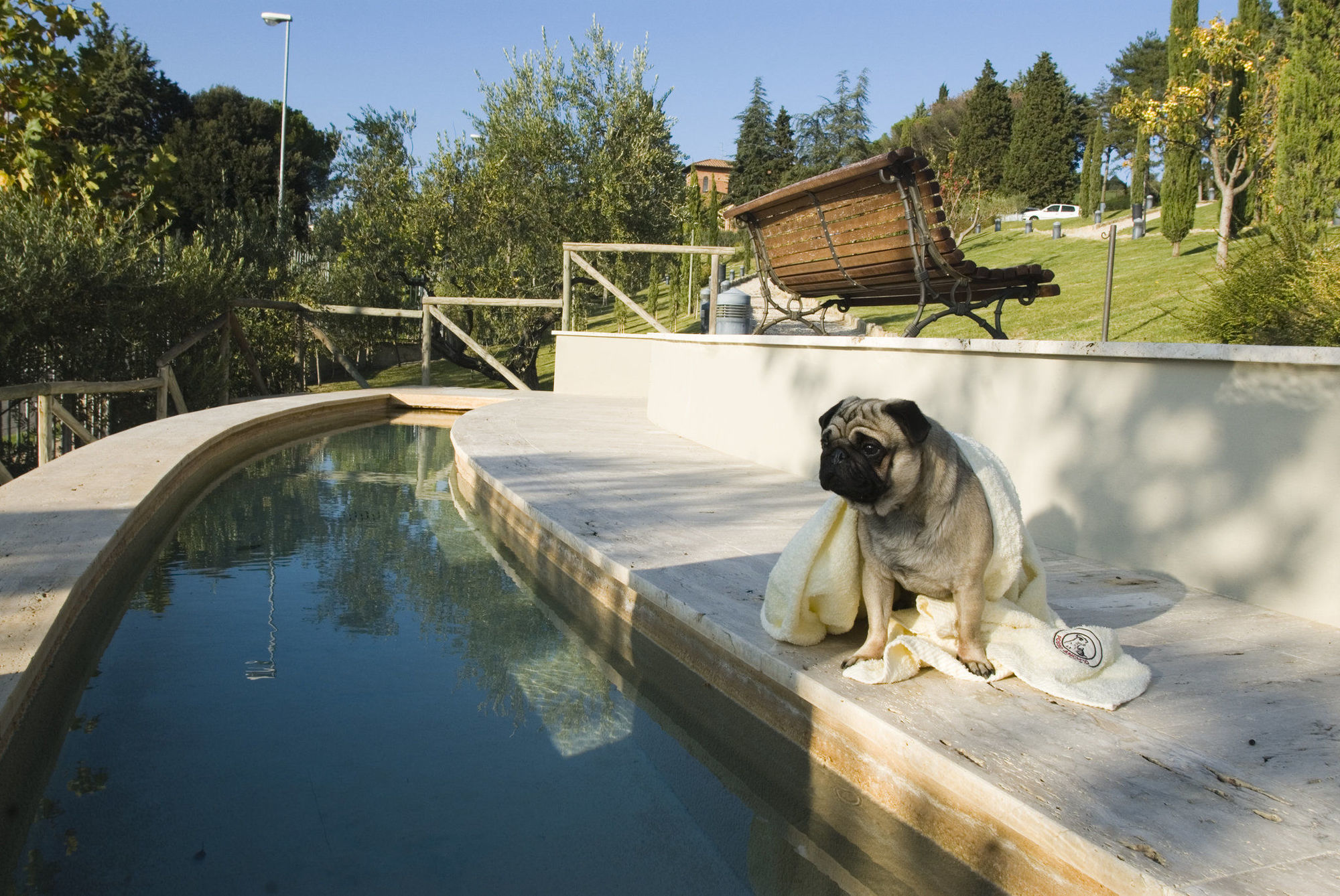 Fonteverde Lifestyle & Thermal Retreat - The Leading Hotels Of The World San Casciano dei Bagni Létesítmények fotó A dog at a swimming pool